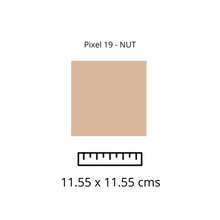 Load image into Gallery viewer, PIXEL 19 - NUT