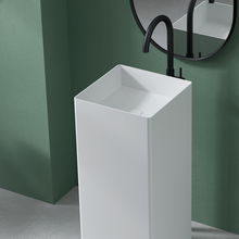 Load image into Gallery viewer, TAMESIS PIE WHITE