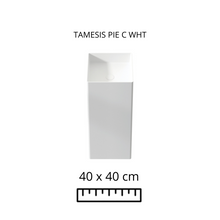 Load image into Gallery viewer, TAMESIS PIE WHITE