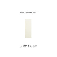 Load image into Gallery viewer, BITS TUNDRA MATT
