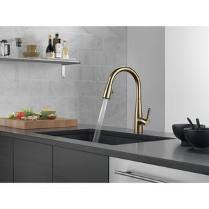 GRIFERIA DE COCINA ESSA EXTENDIBLE MONOMANDO 9113-CZ-DST CHAMPAGNE BRONZE