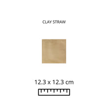 Load image into Gallery viewer, CLAY STRAW 12.3x12.3
