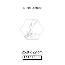 Load image into Gallery viewer, G NILO BLANCO 25.8X29
