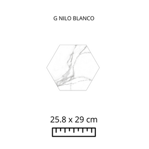 G NILO BLANCO 25.8X29