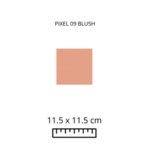 Load image into Gallery viewer, PIXEL 09 BLUSH
