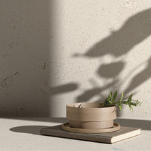 Load image into Gallery viewer, SUITE STONE SHELL6 120 120X120
