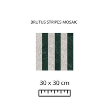 Load image into Gallery viewer, BRUTUS STRIPES MOSAIC 30x30

