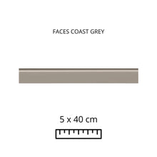Load image into Gallery viewer, FACES COAST GREY 5X40
