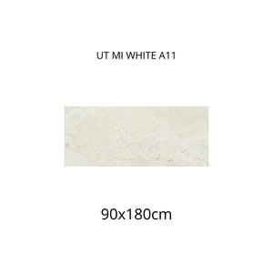 UT MI WHITE A11