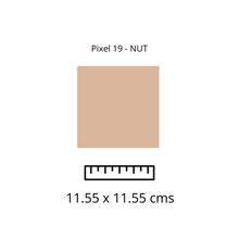 Load image into Gallery viewer, PIXEL 19 - NUT
