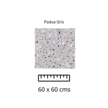 Load image into Gallery viewer, PADUA GRIS 60X60

