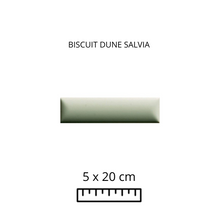 Load image into Gallery viewer, BISCUIT DUNE SALVIA 5X20
