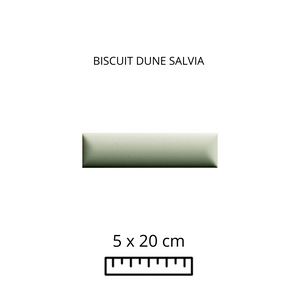 BISCUIT DUNE SALVIA 5X20