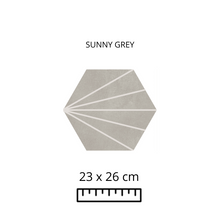 Load image into Gallery viewer, SUNNY GREY 23X26
